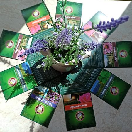 Apartament Lavender Héviz Zewnętrze zdjęcie