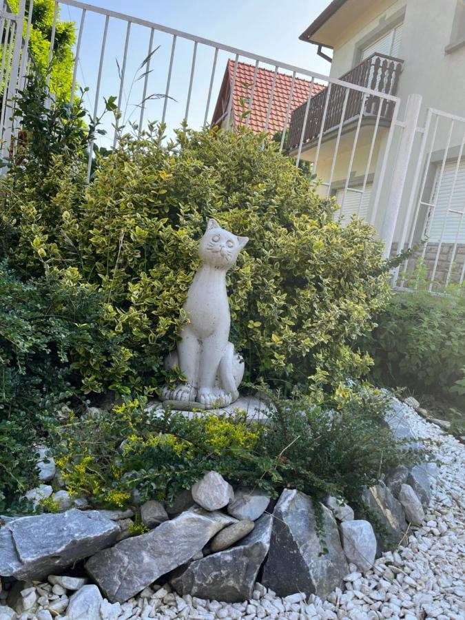 Apartament Lavender Héviz Zewnętrze zdjęcie